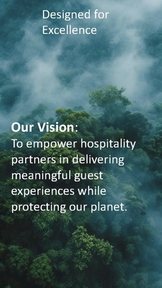 Misty forest canopy — Designed for Excellence